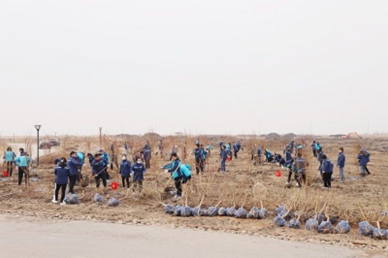 中國(guó)二十二冶集團(tuán)華北公司組織開展義務(wù)植樹活動(dòng) (2)